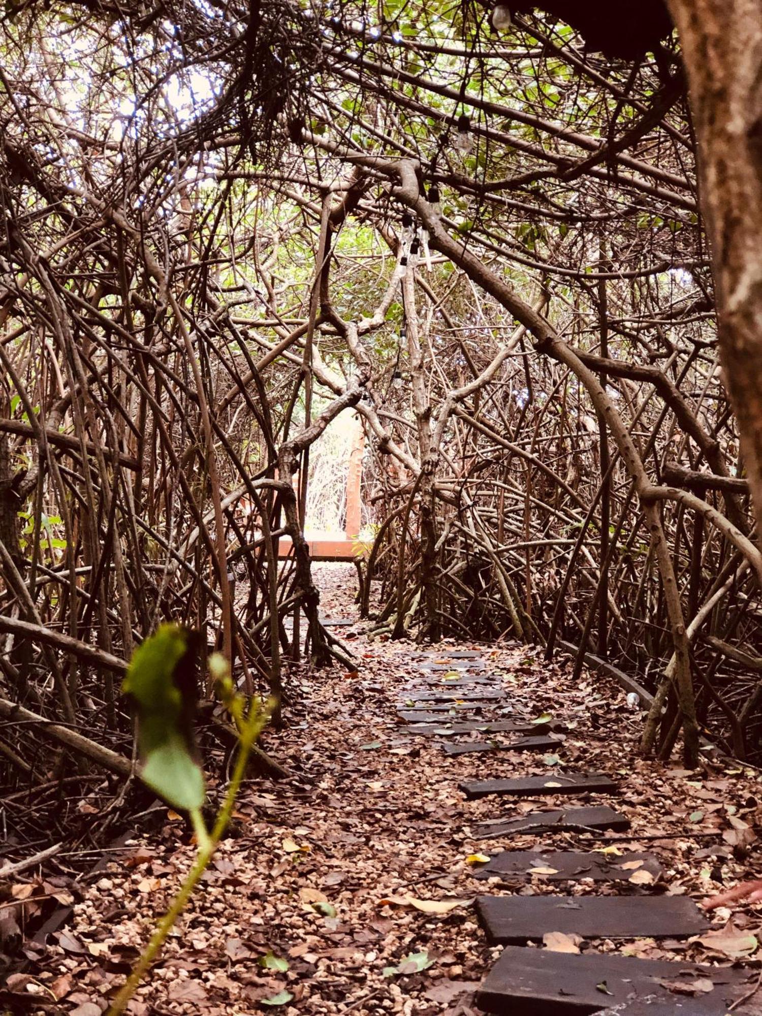 Cabanas Tulum - Aldea Mangle & Cenote Экстерьер фото