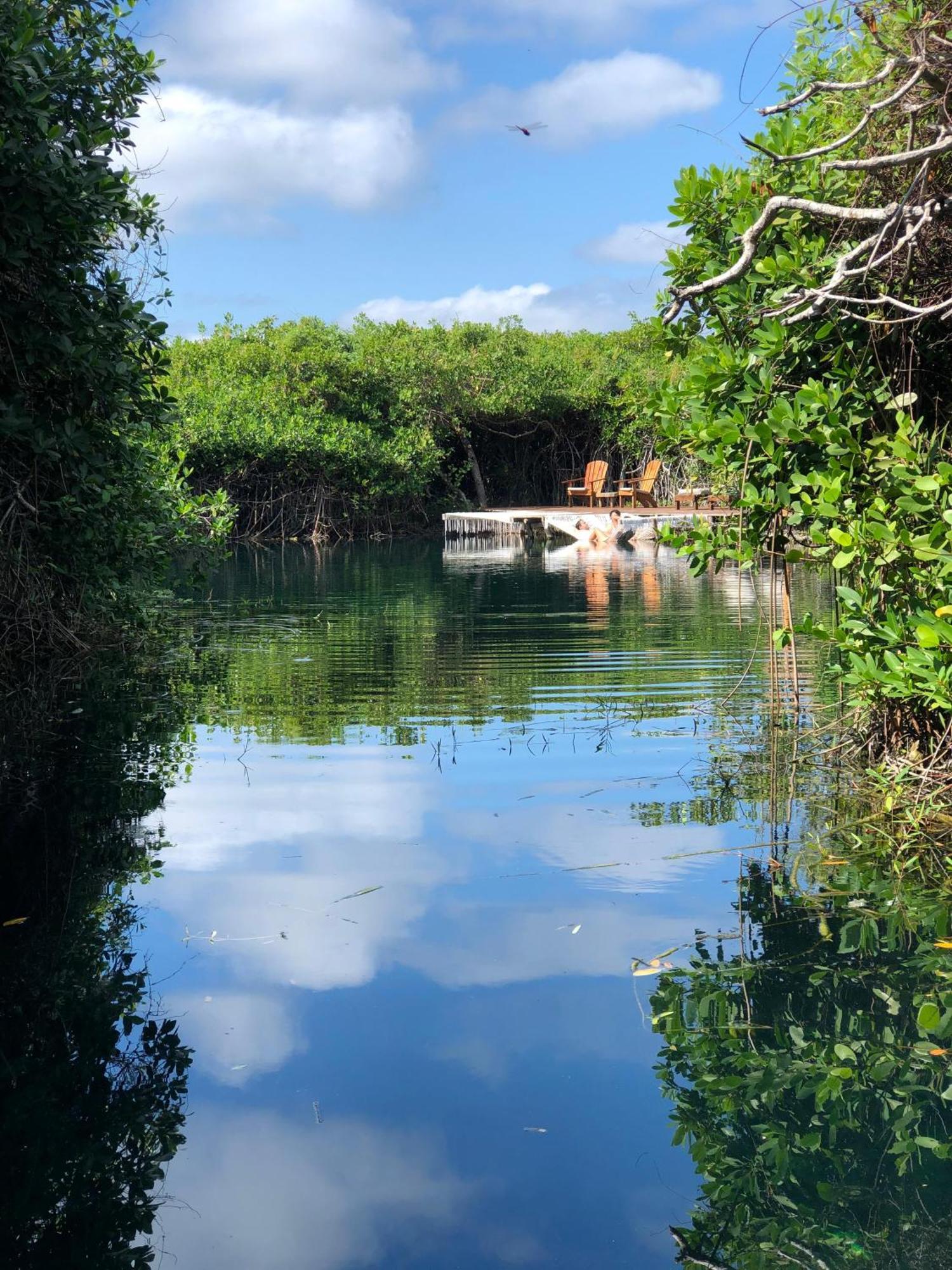 Cabanas Tulum - Aldea Mangle & Cenote Экстерьер фото