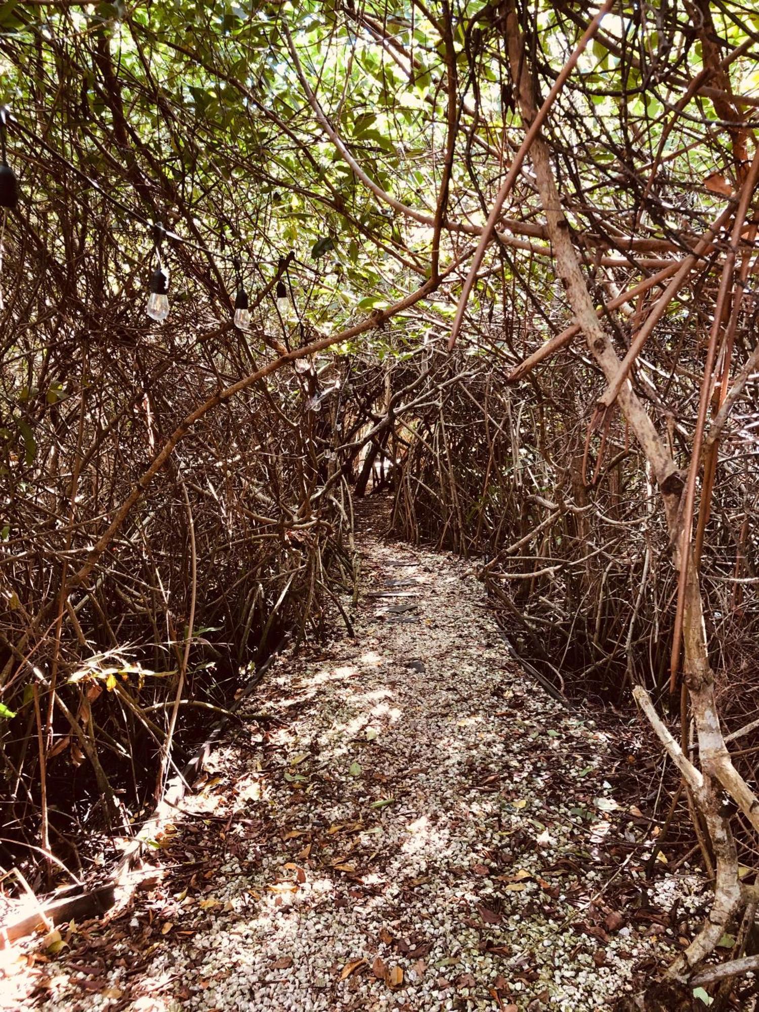 Cabanas Tulum - Aldea Mangle & Cenote Экстерьер фото