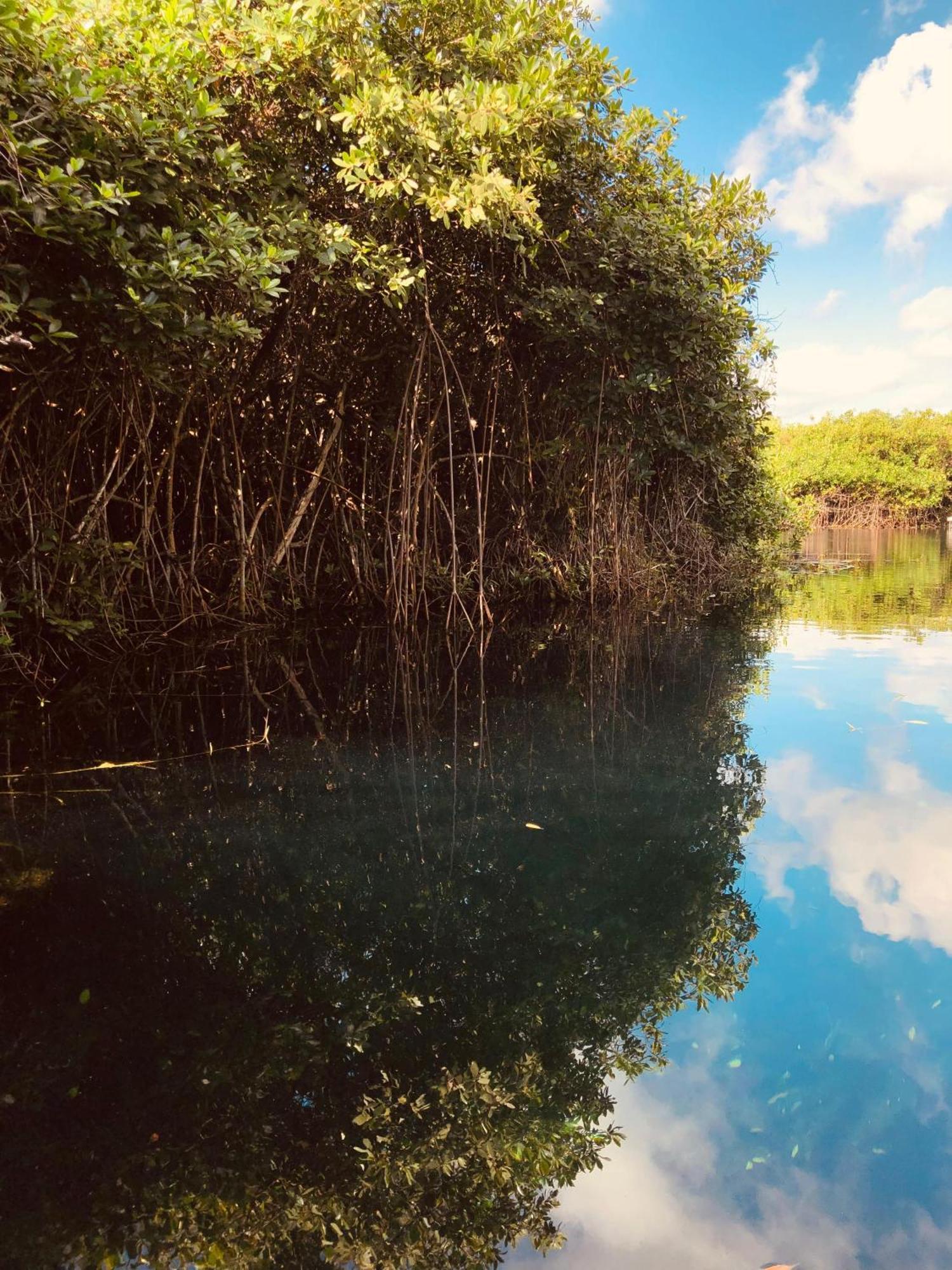 Cabanas Tulum - Aldea Mangle & Cenote Экстерьер фото