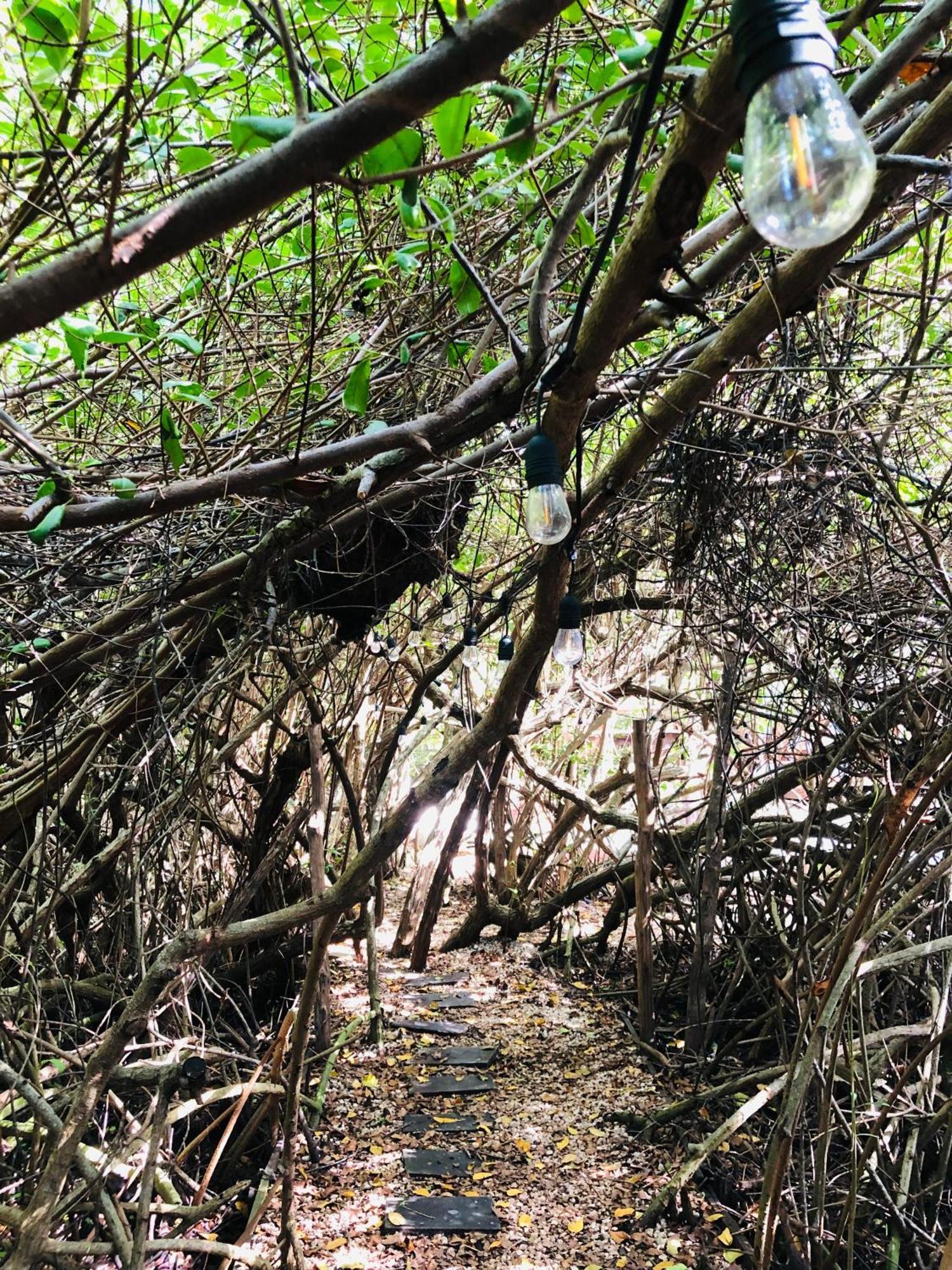 Cabanas Tulum - Aldea Mangle & Cenote Экстерьер фото